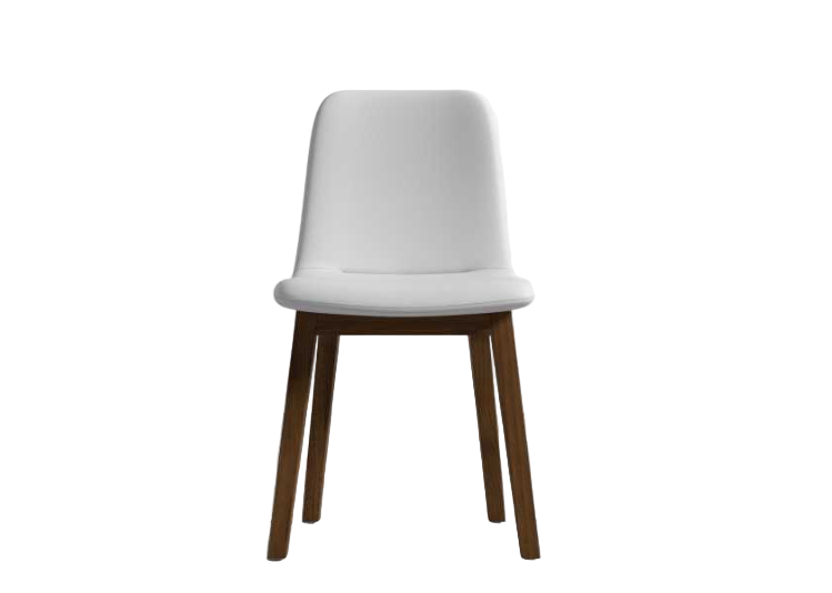 Ray Side Chair