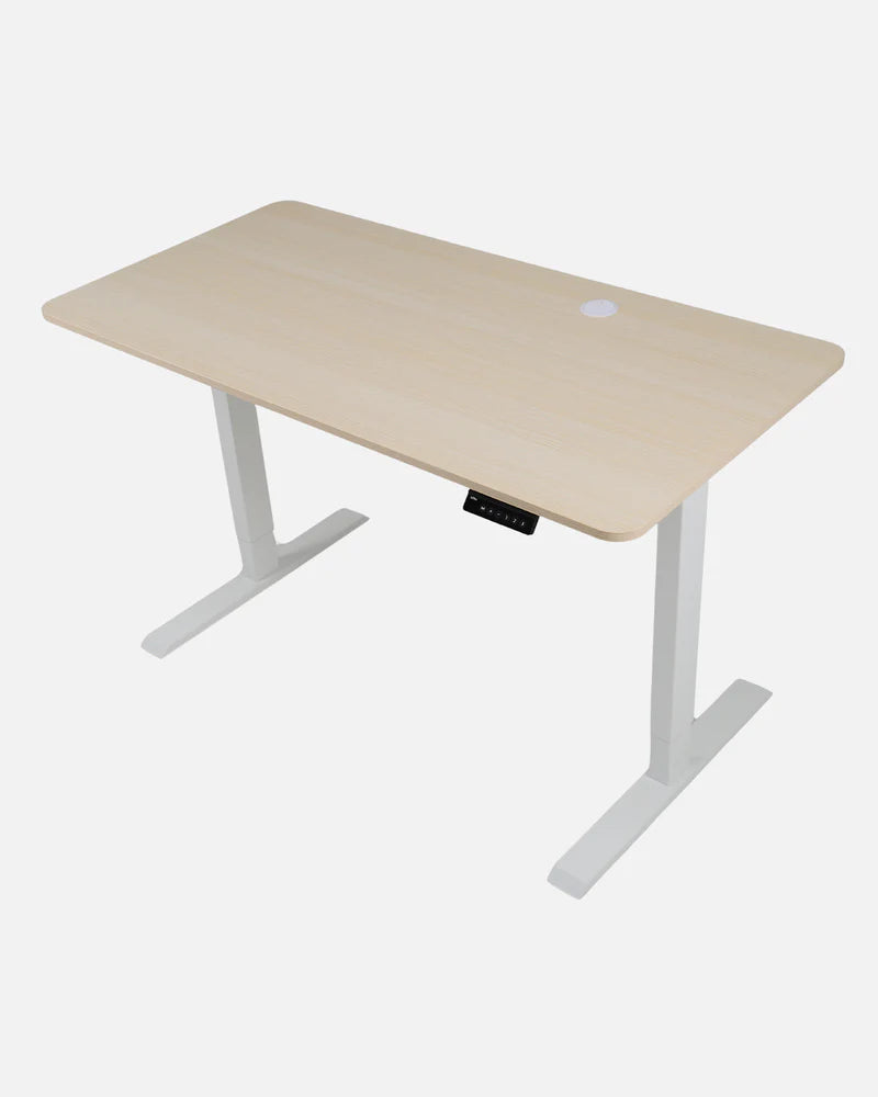 FLO - Sit-Stand Electric Desk - Pure Maple