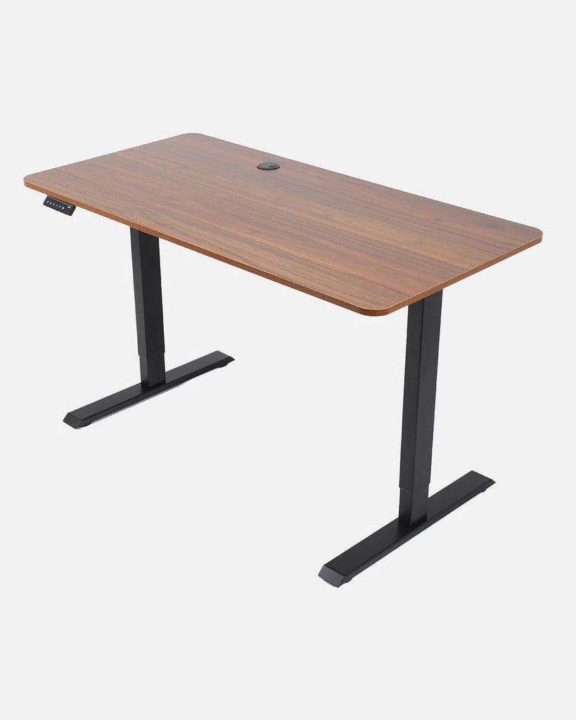 FLO - Sit-Stand Electric Desk - Walnut