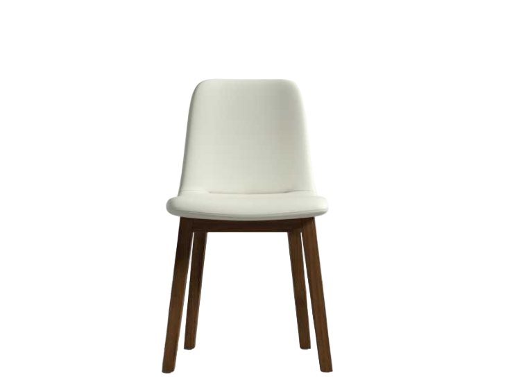 Ray Side Chair