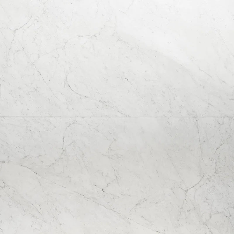 24" x 47" Polished Marble Look Porcelain Floor and Wall Tile (15.5 Sq. Ft. / Case)