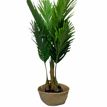 45” Palm Tree