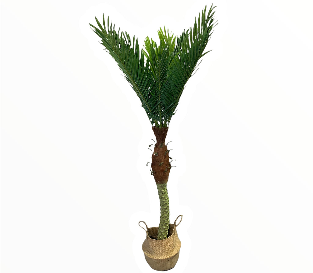 69” Palm Tree